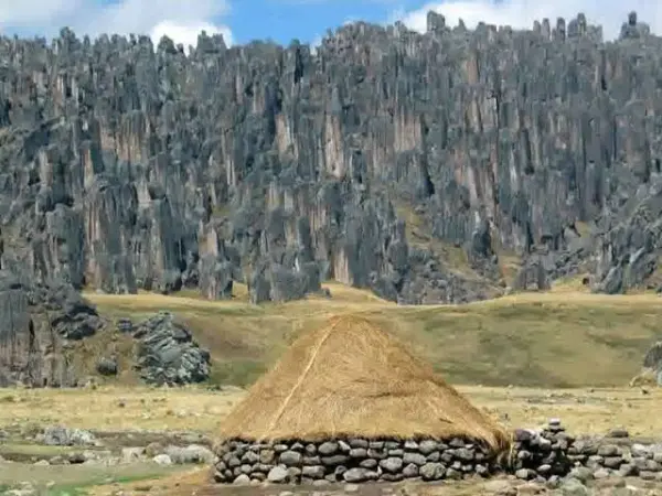 Tour Bosque de Piedra de Huayllay - foto 2