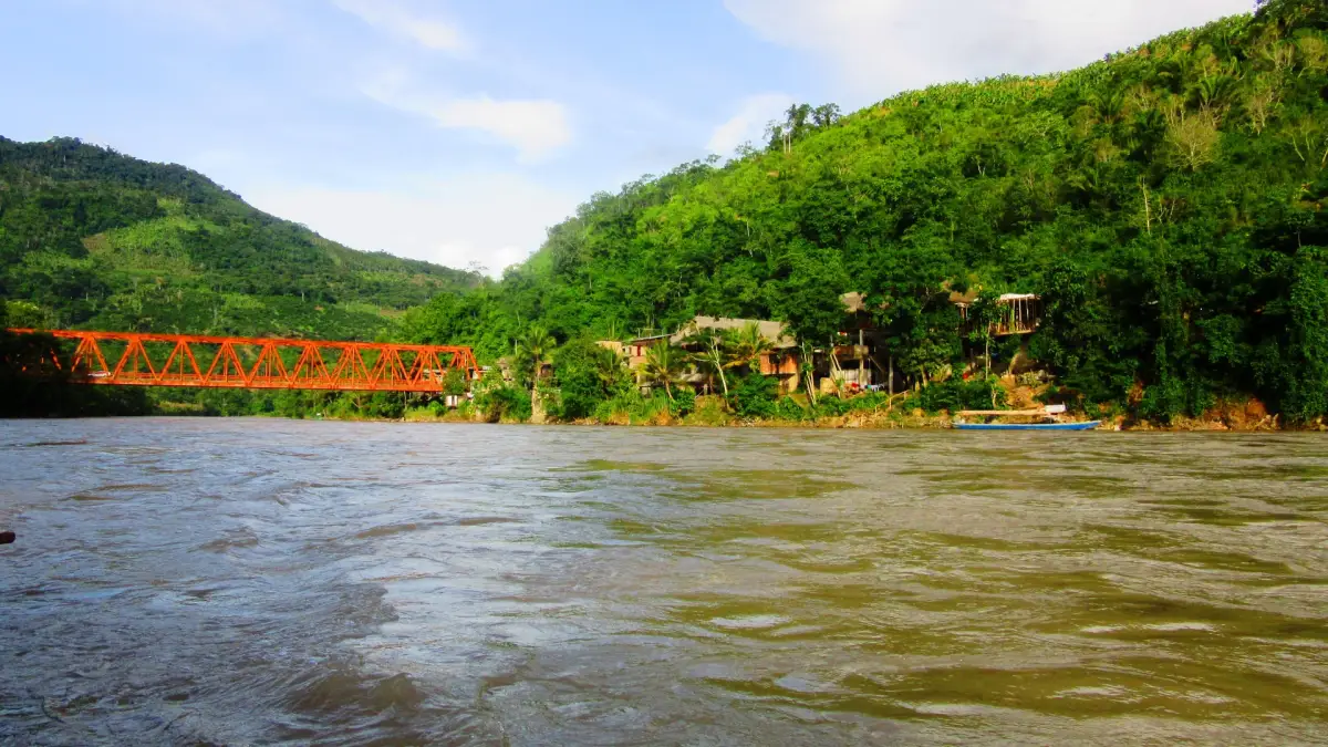 Viajar a la Selva Central: consejos antes de tu primera visita