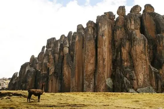 Tour Bosque de Piedra de Huayllay