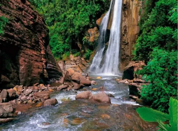 Tour Parque Yanachaga Chemillén - foto 2