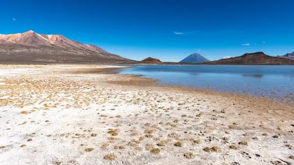 Tour Reserva Nacional de Salinas - foto 2