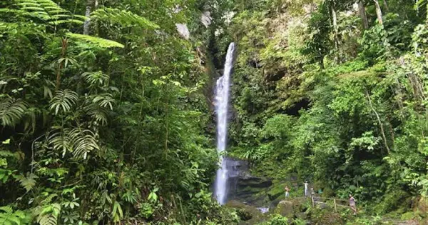 Tour Catarata Ahuashiyacu - foto 3