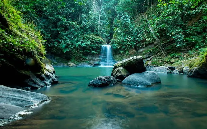 Tour Catarata Pishurayacu - foto 1