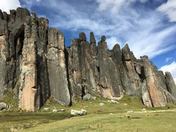 Tour Bosque de Piedra de Huayllay - foto 3