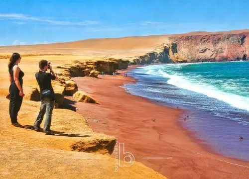 Tour Reserva Nacional de Paracas