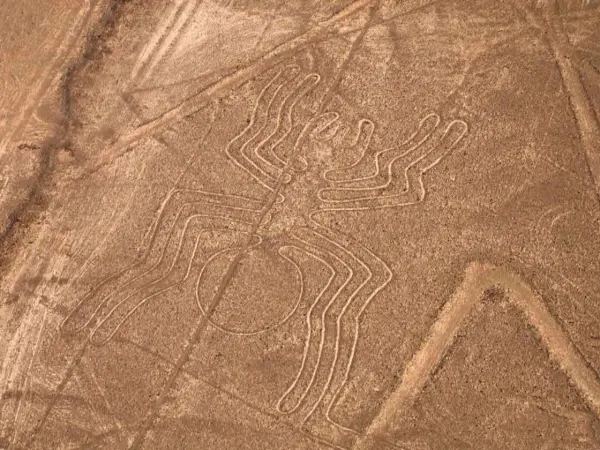 Tour Nasca - foto 2