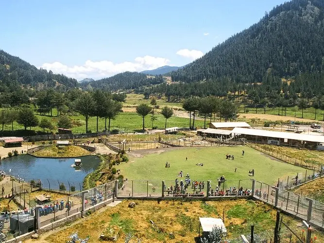 Tour Granja Porcón