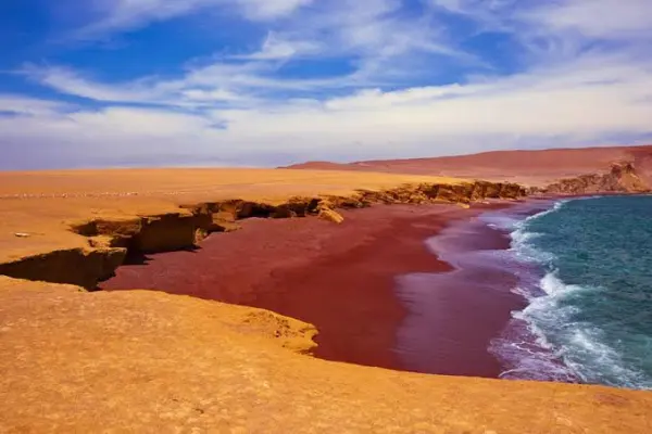 Tour Reserva Nacional de Paracas - foto 2