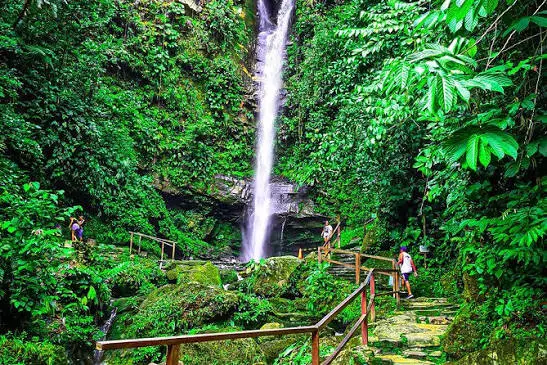 Tour Catarata Ahuashiyacu - foto 2