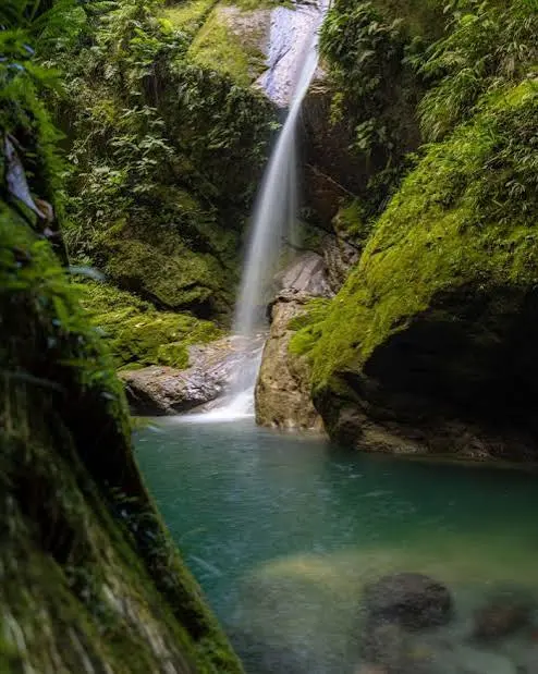 Tour Catarata Alto Shambillo - foto 3