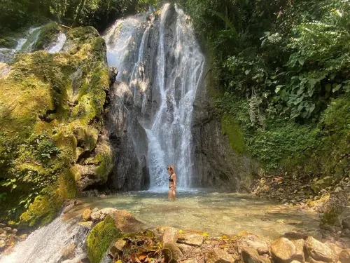 Tour Catarata Honolulo