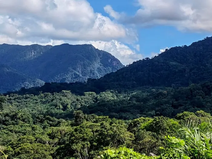 Tour Catarata Alto Shambillo