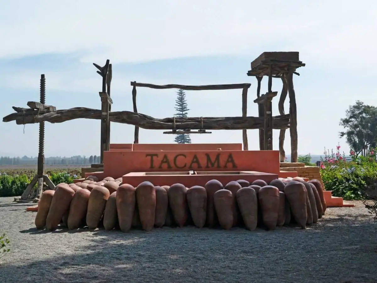 Ruta del Pisco en Ica: historia, viñedos y tradición