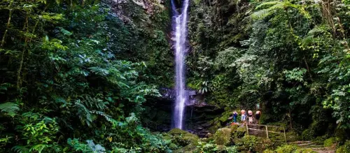 Tour Catarata Ahuashiyacu