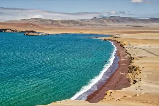 Tour Reserva Nacional de Paracas - foto 3