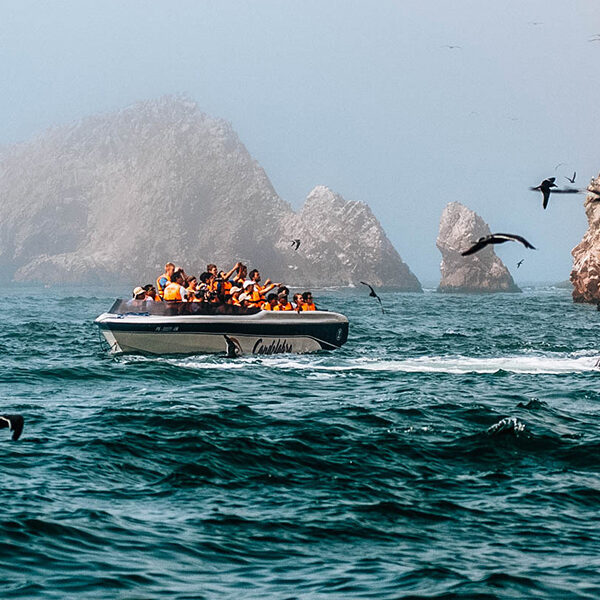 FULL DAY ISLAS BALLESTAS - HUACACHINA