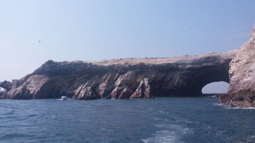 20180429_110845-2500x1406-870x555