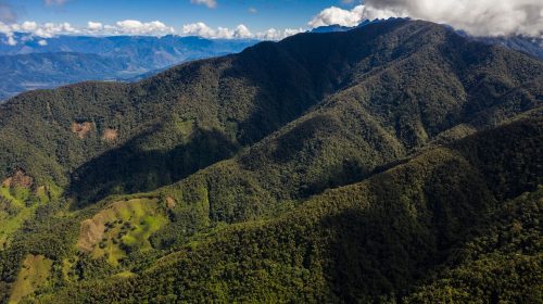 Parque Nacional Yanachaga Chemillen 1