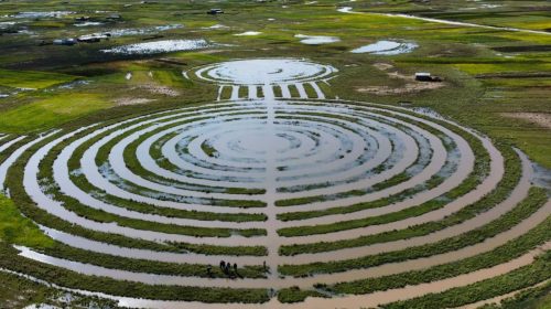 WhatsApp_Image_2022-02-25_at_7.20.07_PM