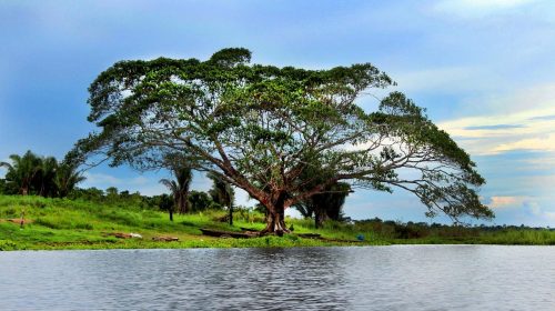 laguna-cashibococha 1