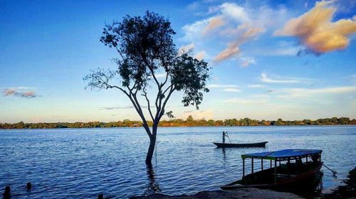 laguna-de-yarinacocha 1